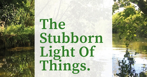 Stubborn light of things